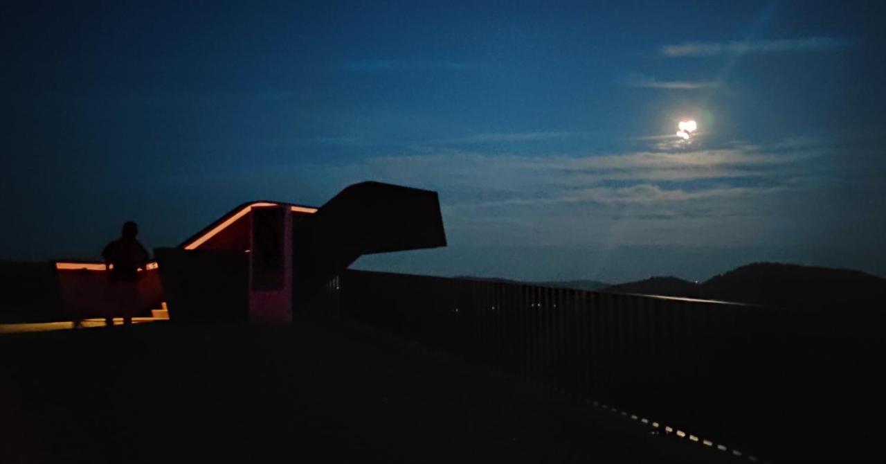 Villa D'Uvale Douro Alijo Bagian luar foto